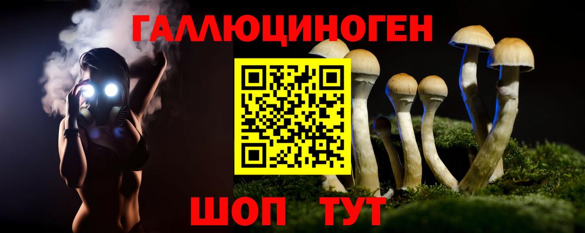 Иваново  купить   Псилоцибиновые грибы ЛСД  Вход с VPN  Псилоцибиновые грибы GOLDEN TEACHER 